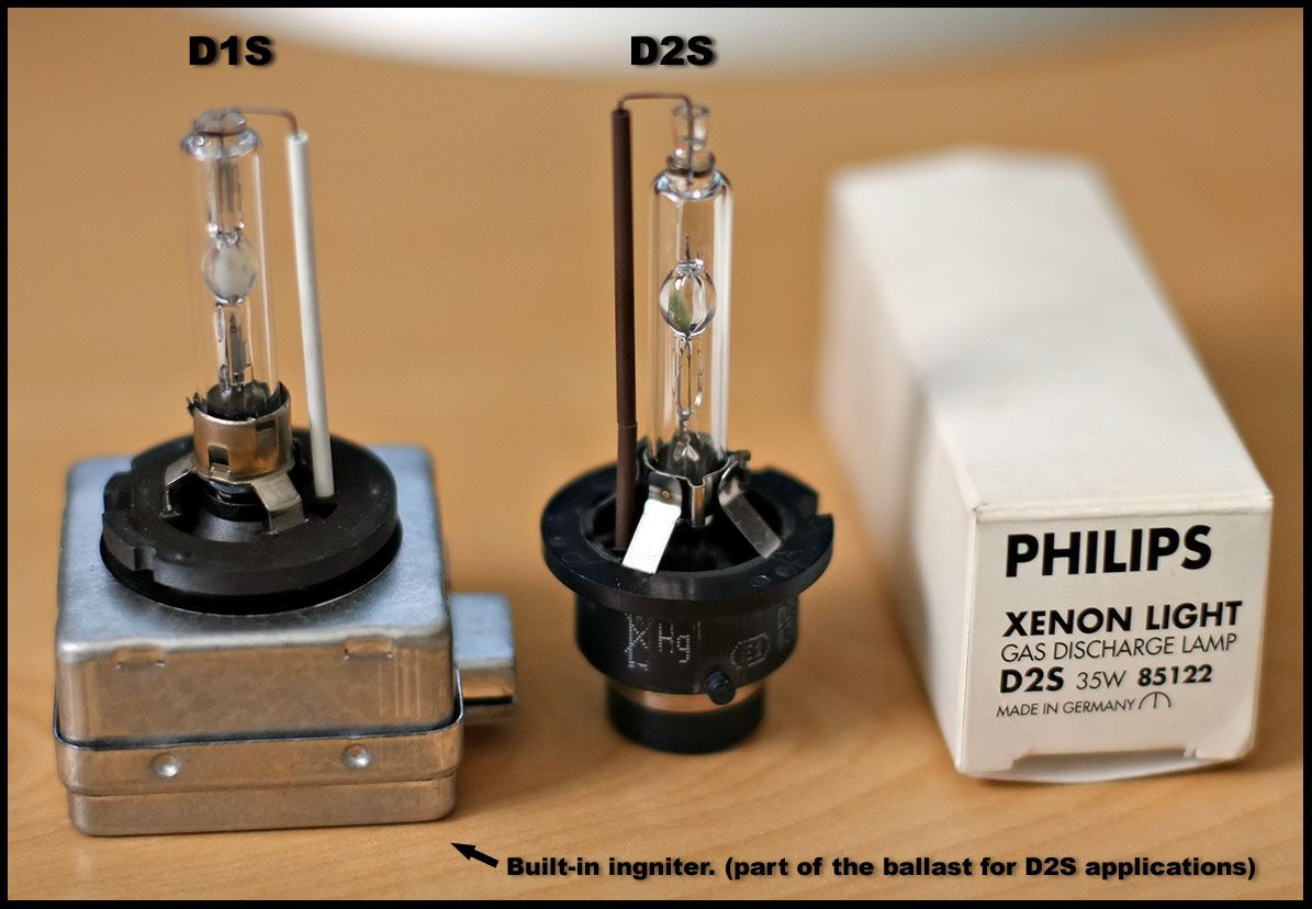 D1S_D2S_Bulbs.jpg