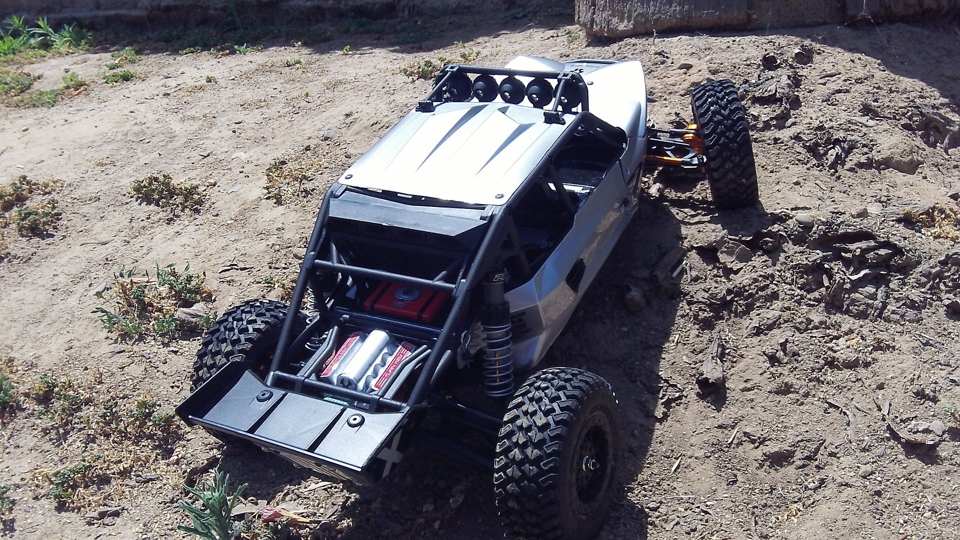 exo buggy
