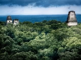 City of Tikal (Peten, Guatemala)