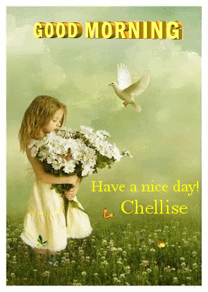 Good Morning Flowers Pictures, Images and Photos