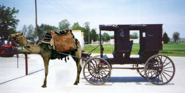 AmishTerrorist.jpg