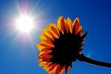 enlightenment life list