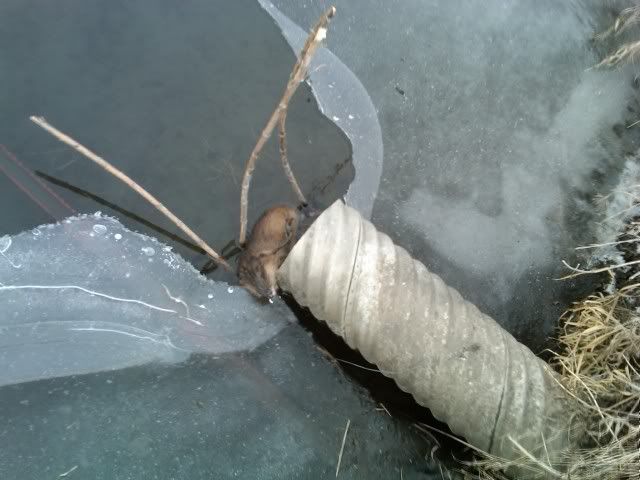 IMG-20120114-00264.jpg
