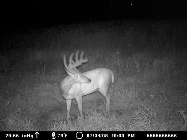 Moultrie2011.jpg