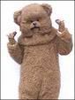 bungle.jpg