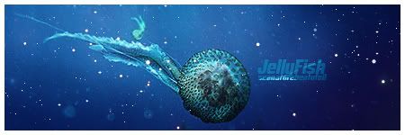 jellyfishsignv3.jpg