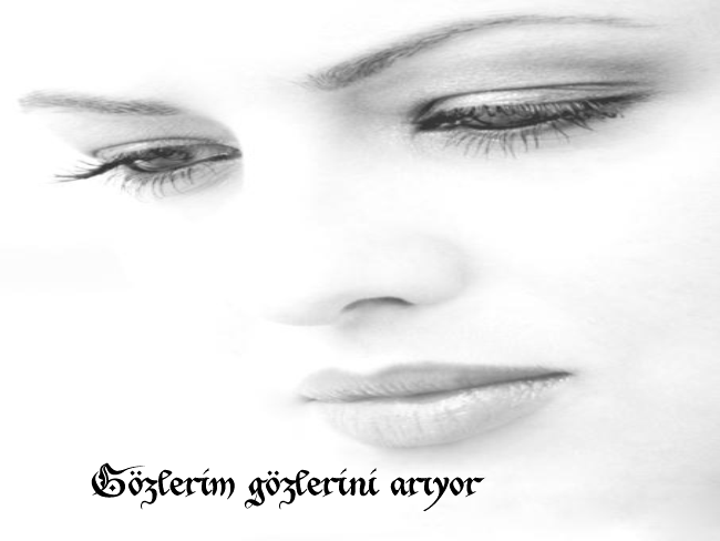 37793986jb2.png