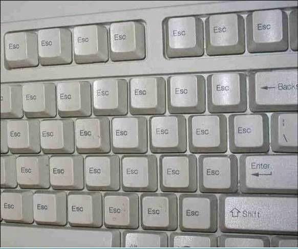 funny-picture-1072746209.jpg
