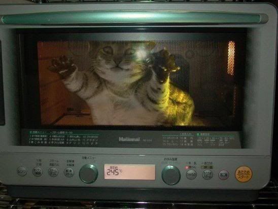 funny-picture-1321947419.jpg