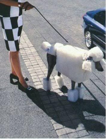 funny-picture-880364865.jpg