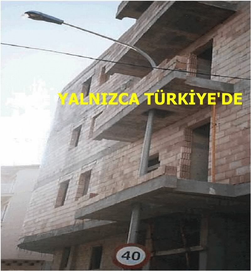 turkey6ai2tlhv0vi8yg9.jpg