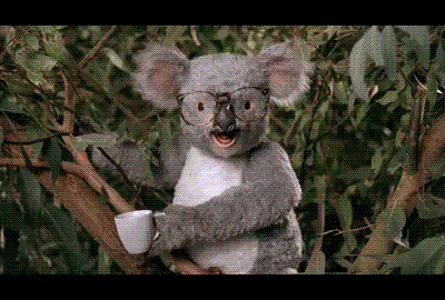 koala.gif picture by pattmm