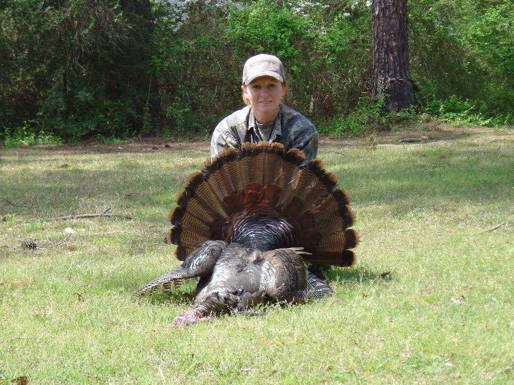 Red2Eastern.jpg?t=1207065891