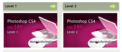 photoshop level 1 y 2 videotutorial