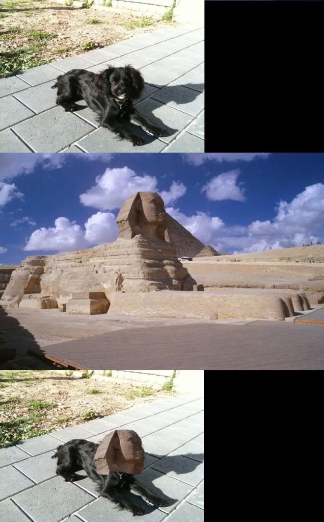 Posted Image