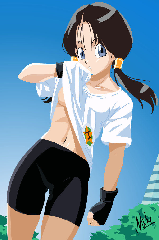 esta es videl antes de aprender a volar esta es videl antes de aprender a volar