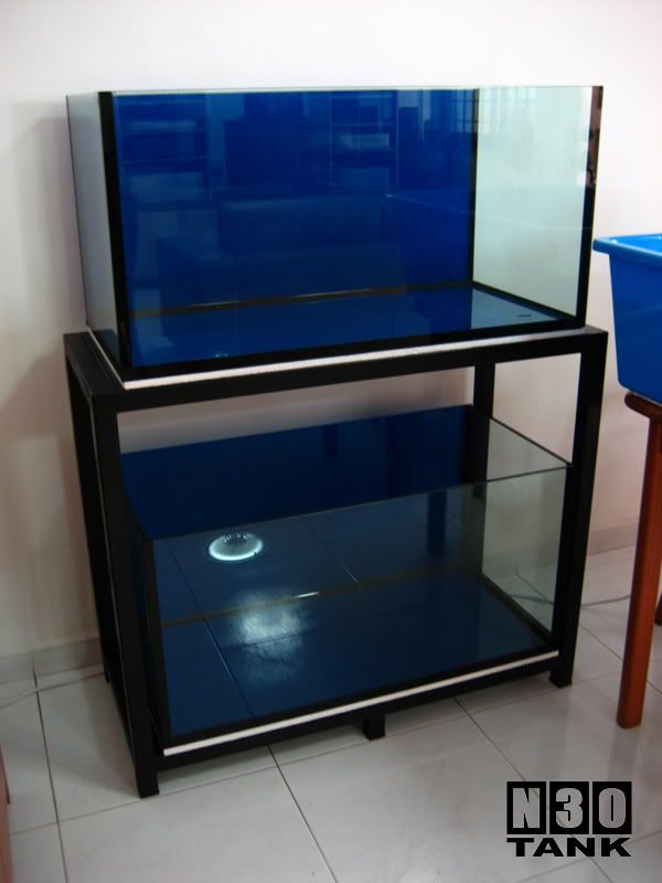 goldfish tank size. -Gold fish Tank Set Up