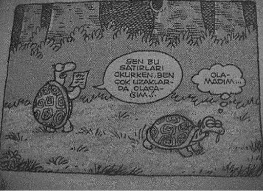 0112.jpg