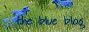 Blue Blog