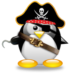 pirate penguin