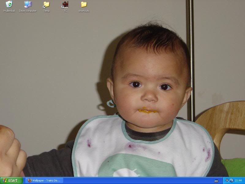 Quino_desktop.jpg