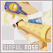 SINFUL ♥ ROSE! //