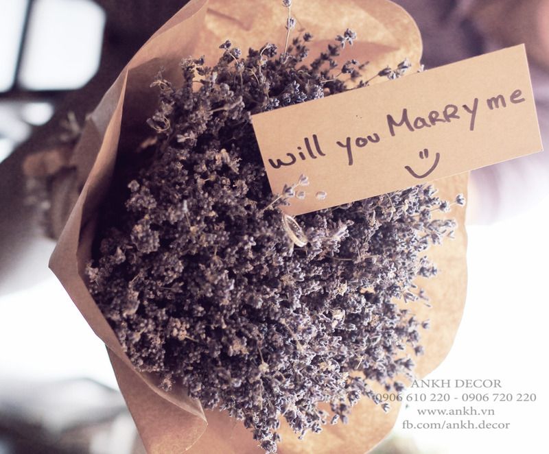 Bán sĩ hoa khô Oải Hương - Lavender  , hoa lúa mạch giá rẽ nhất Việt Nam - 10