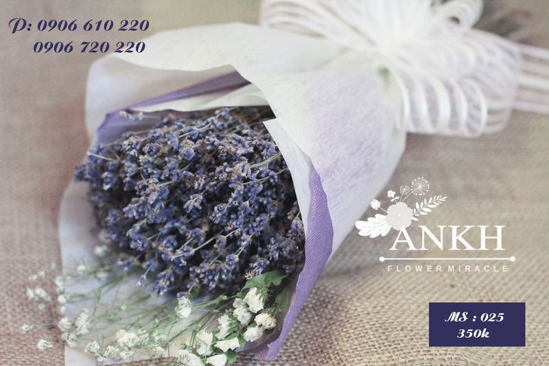 Bán sĩ hoa khô Oải Hương - Lavender  , hoa lúa mạch giá rẽ nhất Việt Nam - 7