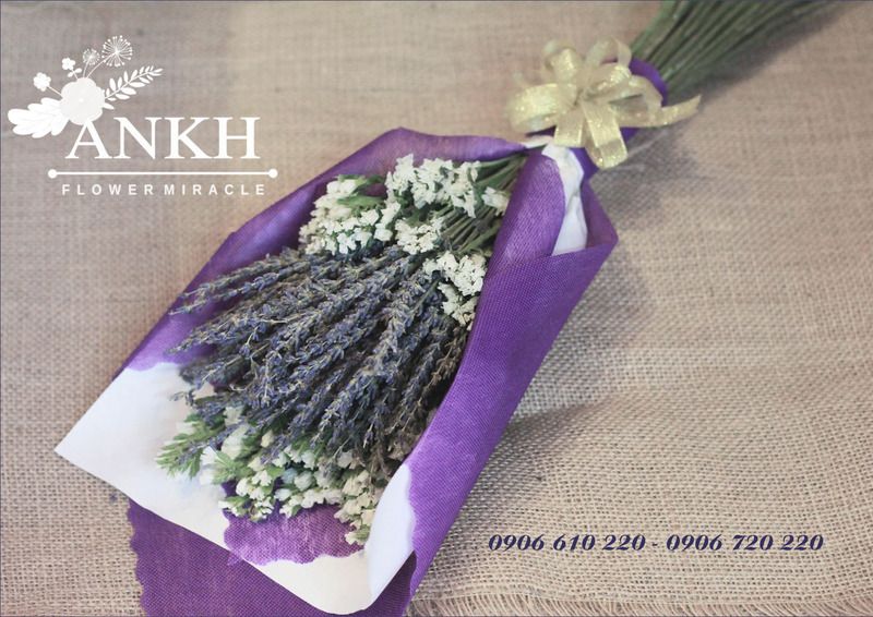 Bán sĩ hoa khô Oải Hương - Lavender  , hoa lúa mạch giá rẽ nhất Việt Nam - 16