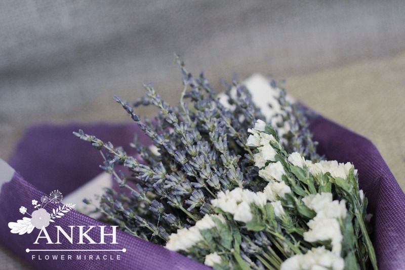Bán sĩ hoa khô Oải Hương - Lavender  , hoa lúa mạch giá rẽ nhất Việt Nam - 15
