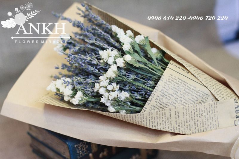Bán sĩ hoa khô Oải Hương - Lavender  , hoa lúa mạch giá rẽ nhất Việt Nam - 14