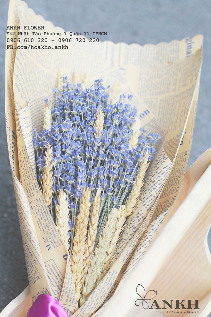 Bán sĩ hoa khô Oải Hương - Lavender  , hoa lúa mạch giá rẽ nhất Việt Nam - 27