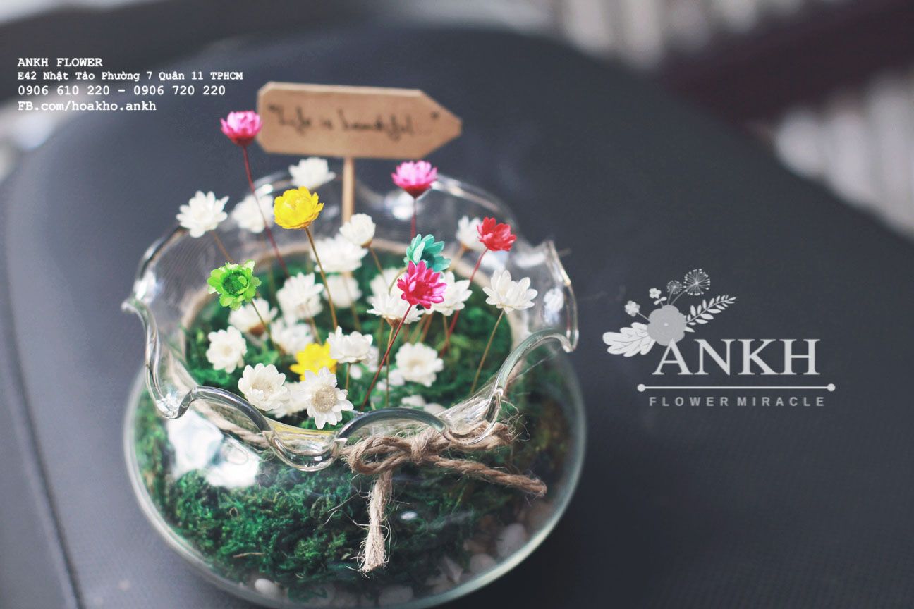 Bán sĩ hoa khô Oải Hương - Lavender  , hoa lúa mạch giá rẽ nhất Việt Nam - 30