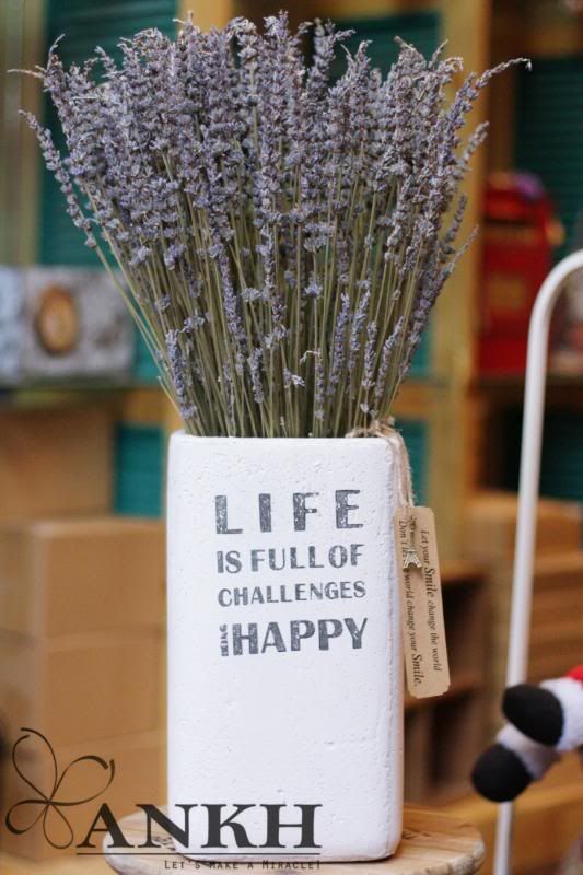 phân phối sỉ - lẻ Hoa lavender khô - hoa oải hương khô - 1