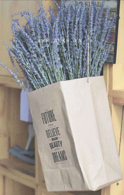 Bán sĩ hoa khô Oải Hương - Lavender  , hoa lúa mạch giá rẽ nhất Việt Nam - 13