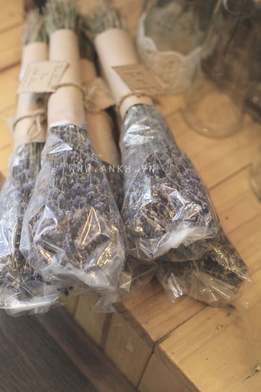 Bán sĩ hoa khô Oải Hương - Lavender  , hoa lúa mạch giá rẽ nhất Việt Nam - 3