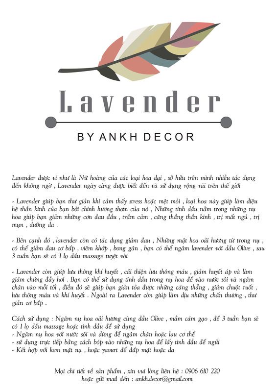 Bán sĩ hoa khô Oải Hương - Lavender  , hoa lúa mạch giá rẽ nhất Việt Nam - 21