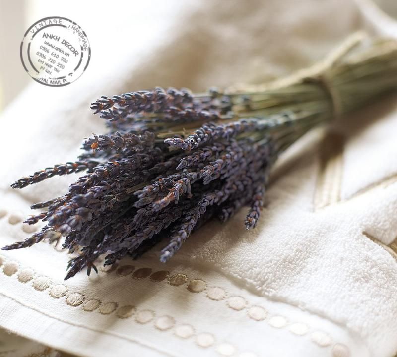 phân phối sỉ - lẻ Hoa lavender khô - hoa oải hương khô - 3