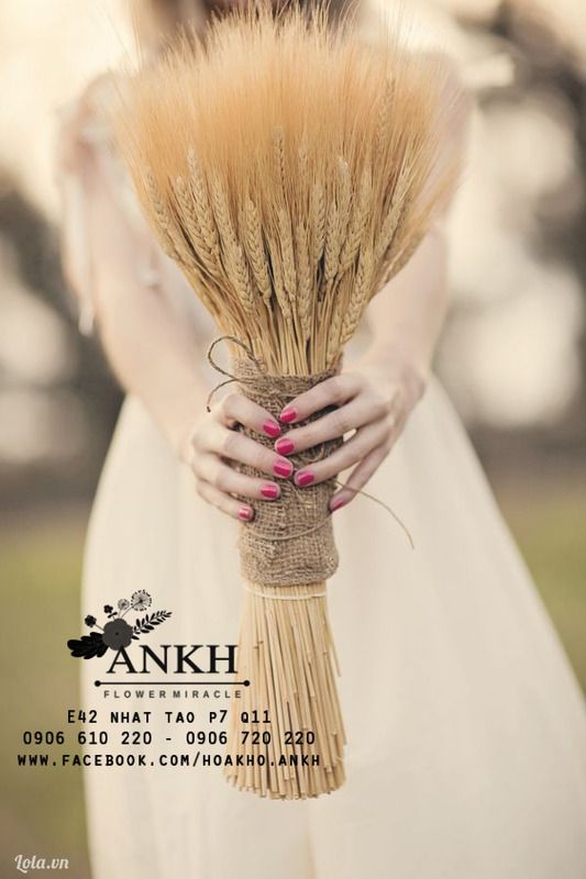 Bán sĩ hoa khô Oải Hương - Lavender  , hoa lúa mạch giá rẽ nhất Việt Nam - 24