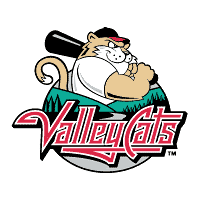 Valleycats Logo