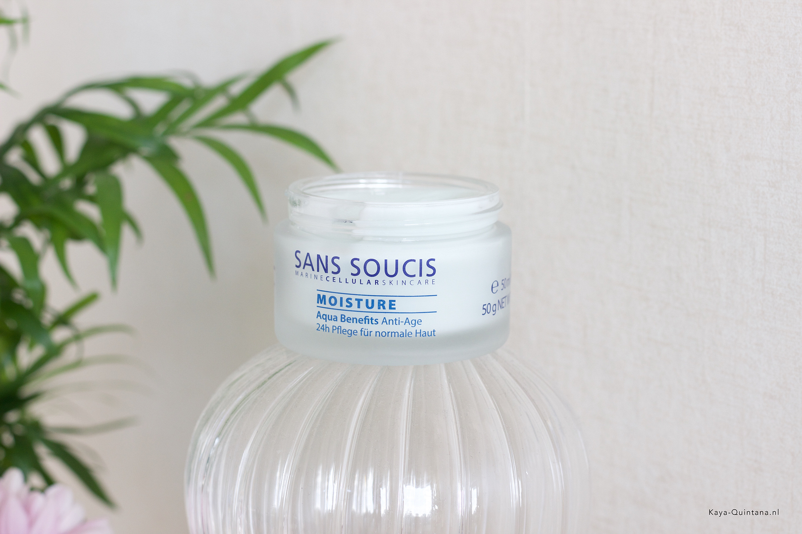 sans soucis skincare review