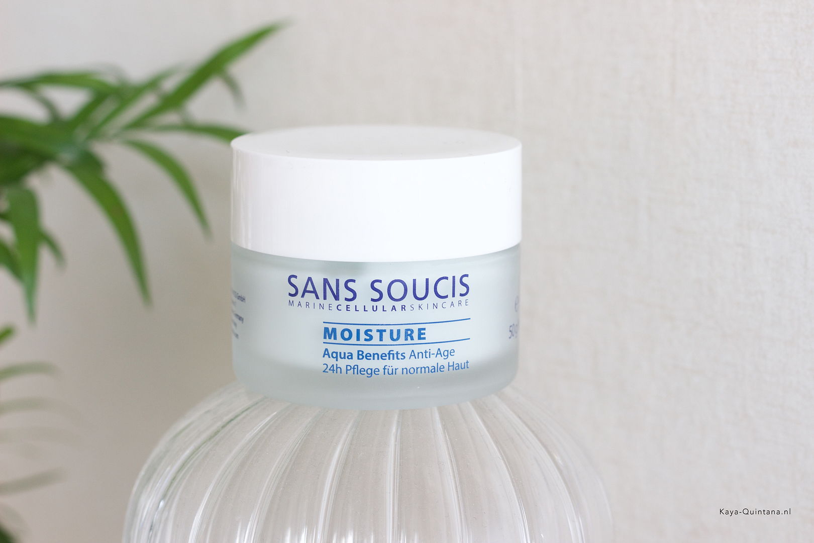 sans soucis moisture day cream