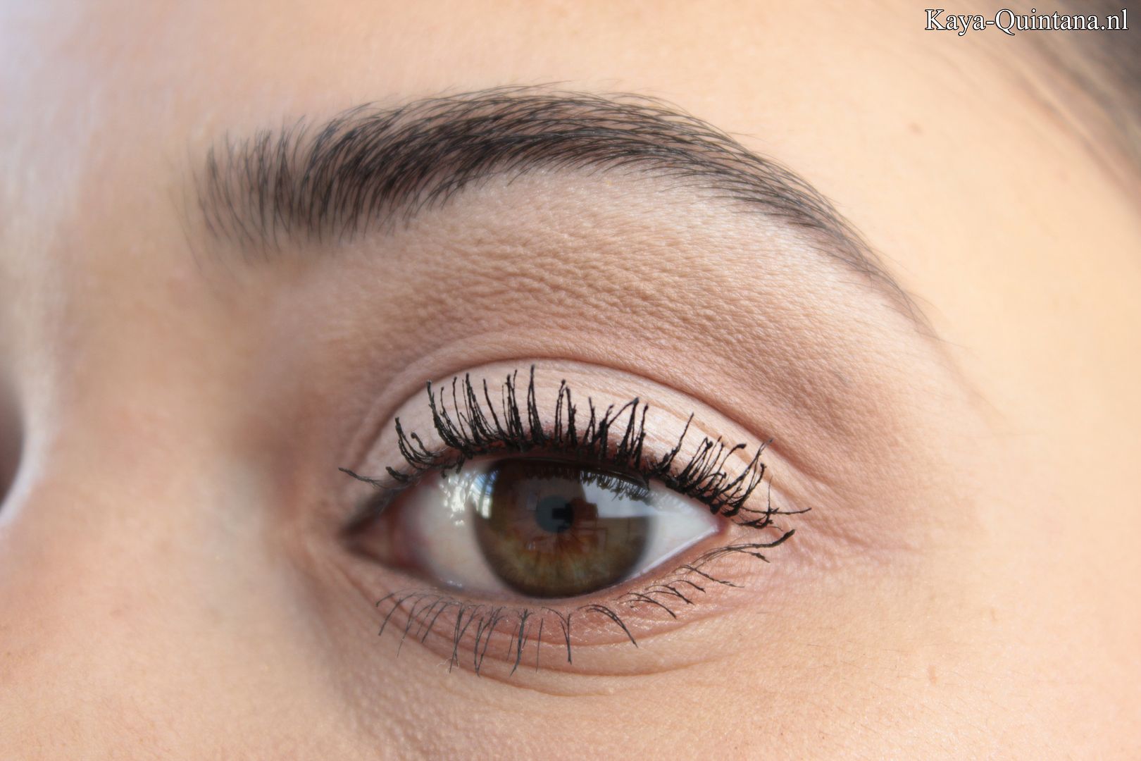 how to neutral eye makeup