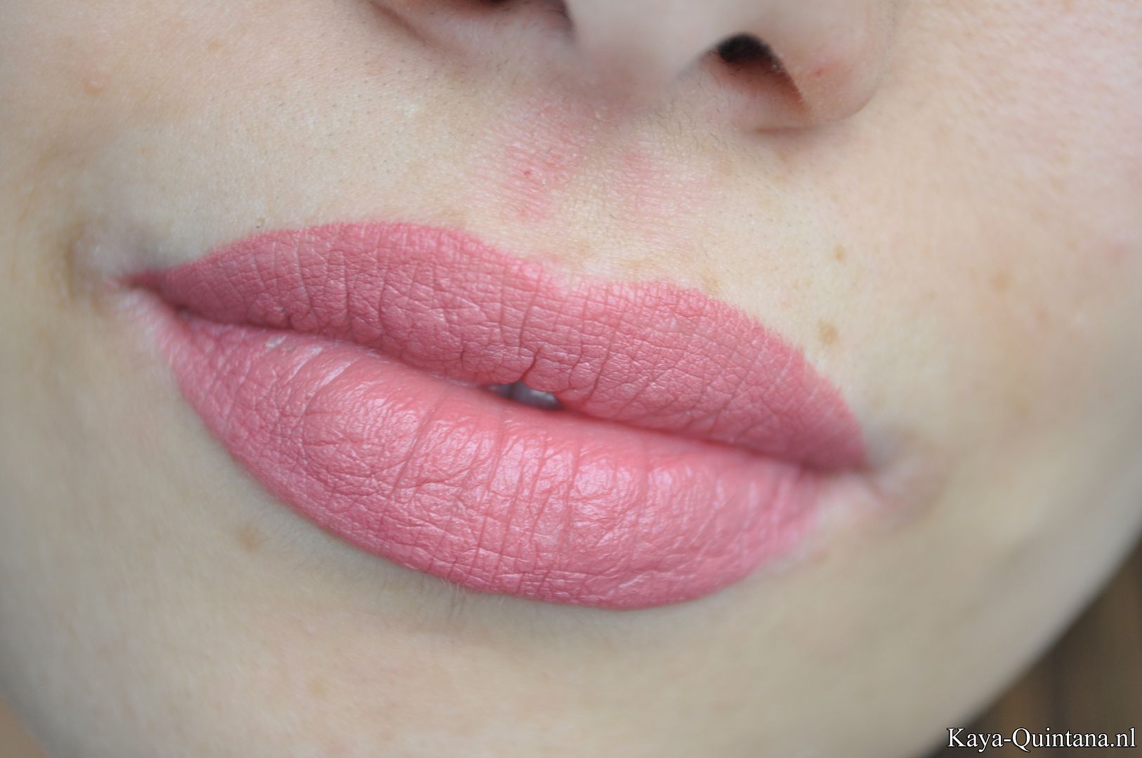 mac twig lipstick swatches