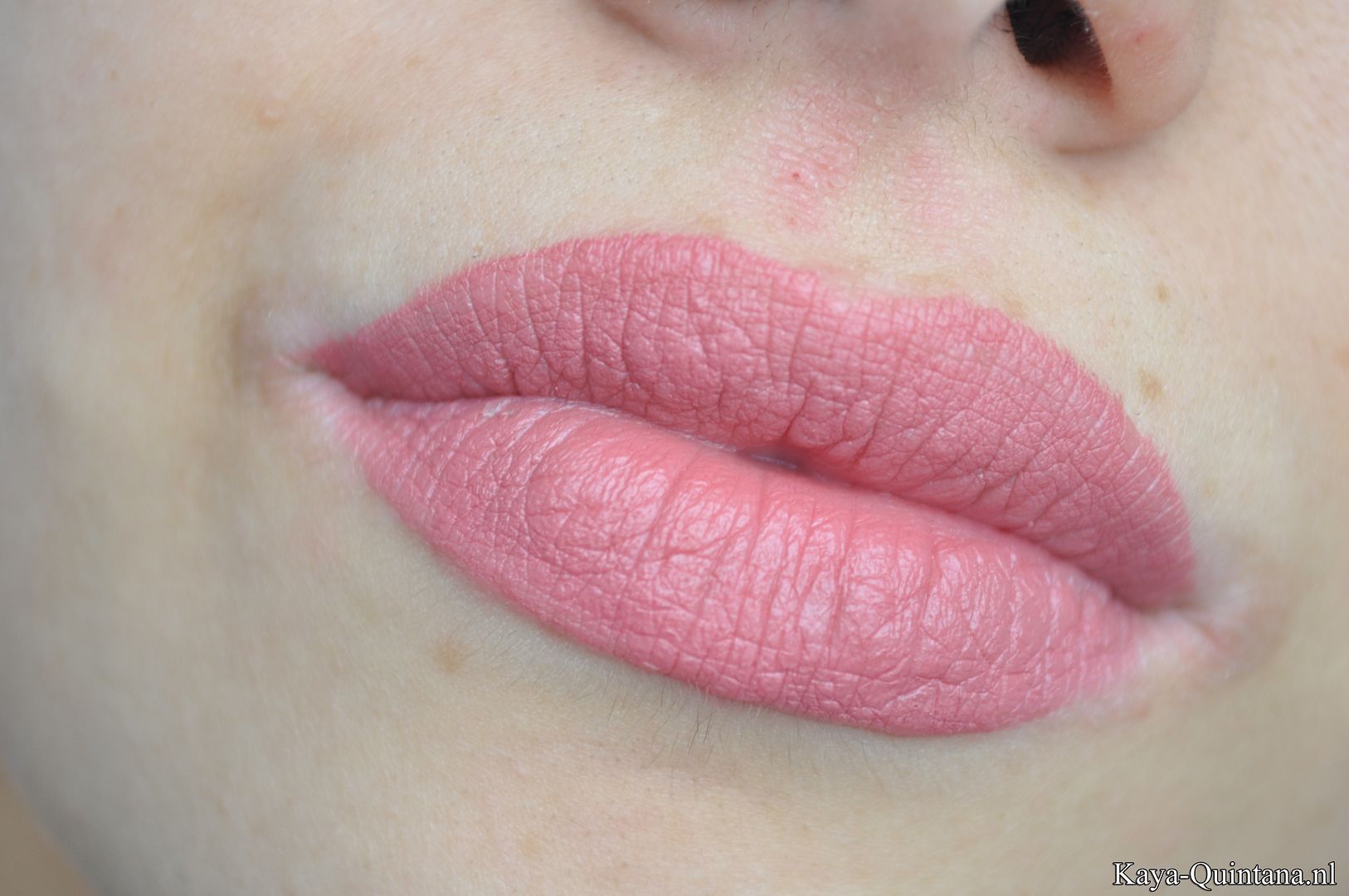 Mac twig lipstick swatches