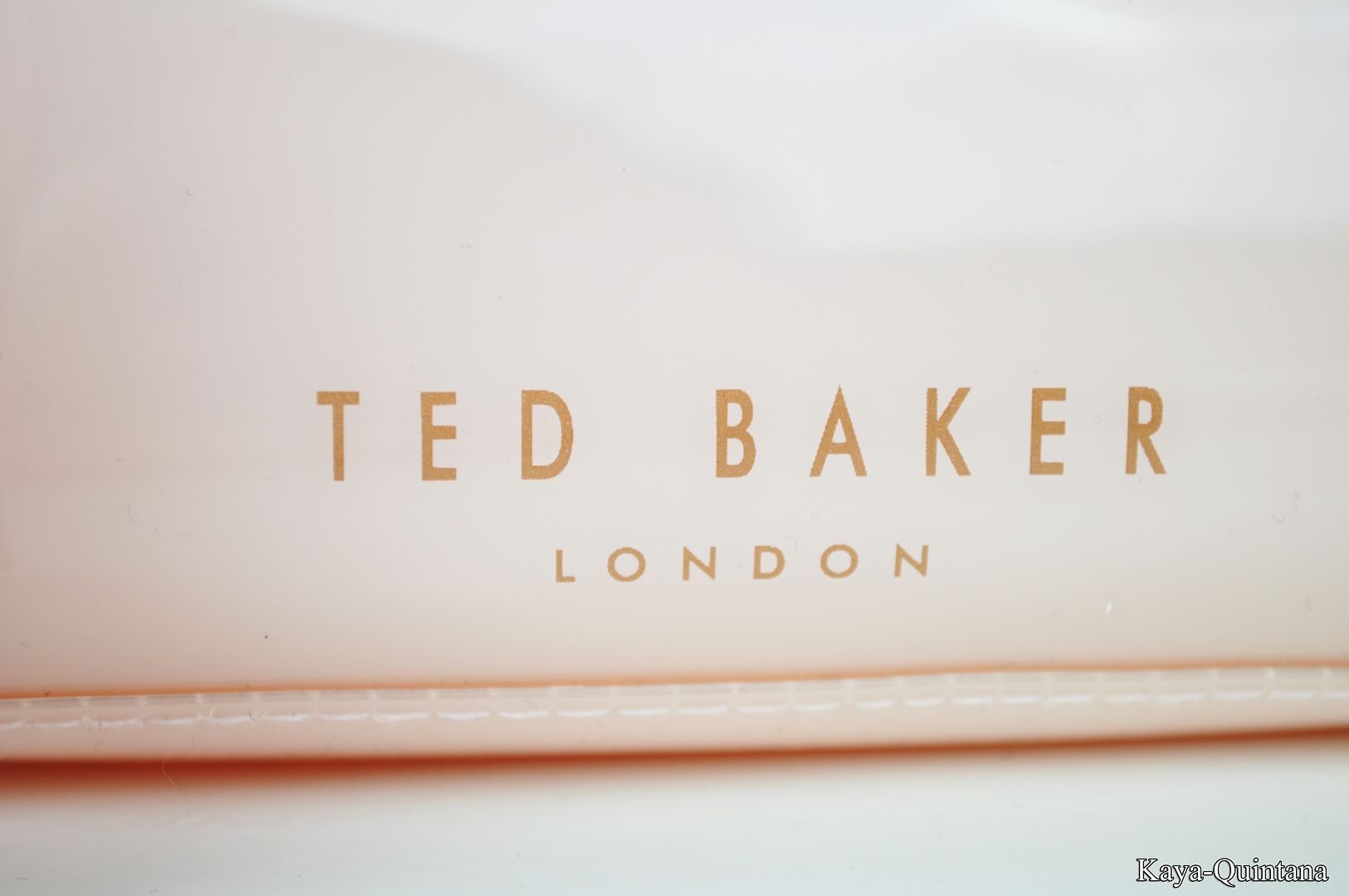 ted baker make-up bag 2014