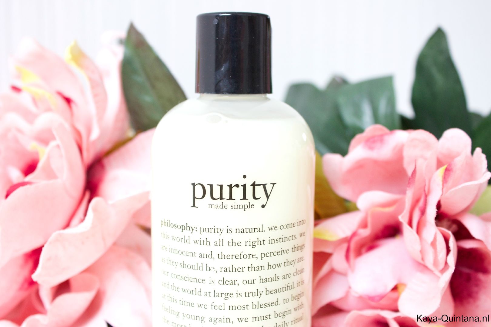 philosophy purity one step cleanser