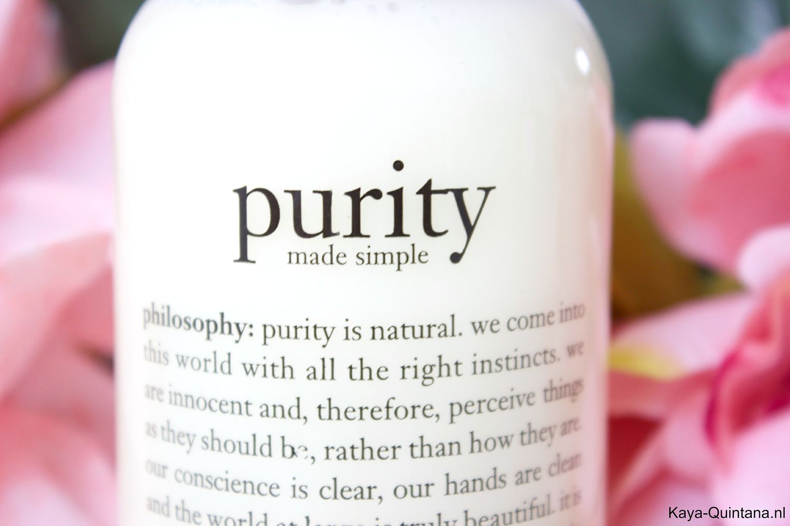 philosophy purity one step cleanser review