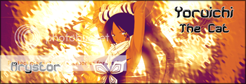 http://i232.photobucket.com/albums/ee165/Arystor/Yoruichi.png