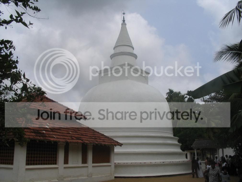 CopyofIMG_0285.jpg